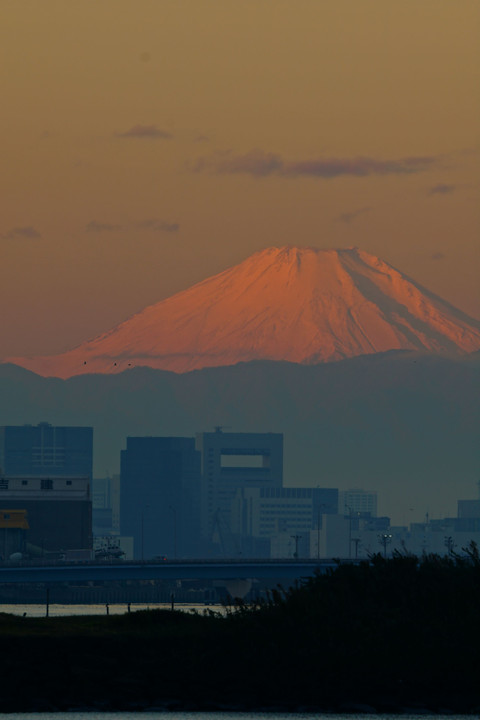 朝の風景、葛西臨海公園