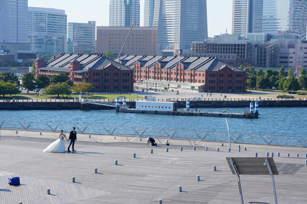 にっぽん丸 & 大桟橋