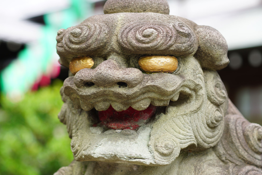 白山神社の狛犬と紫陽花