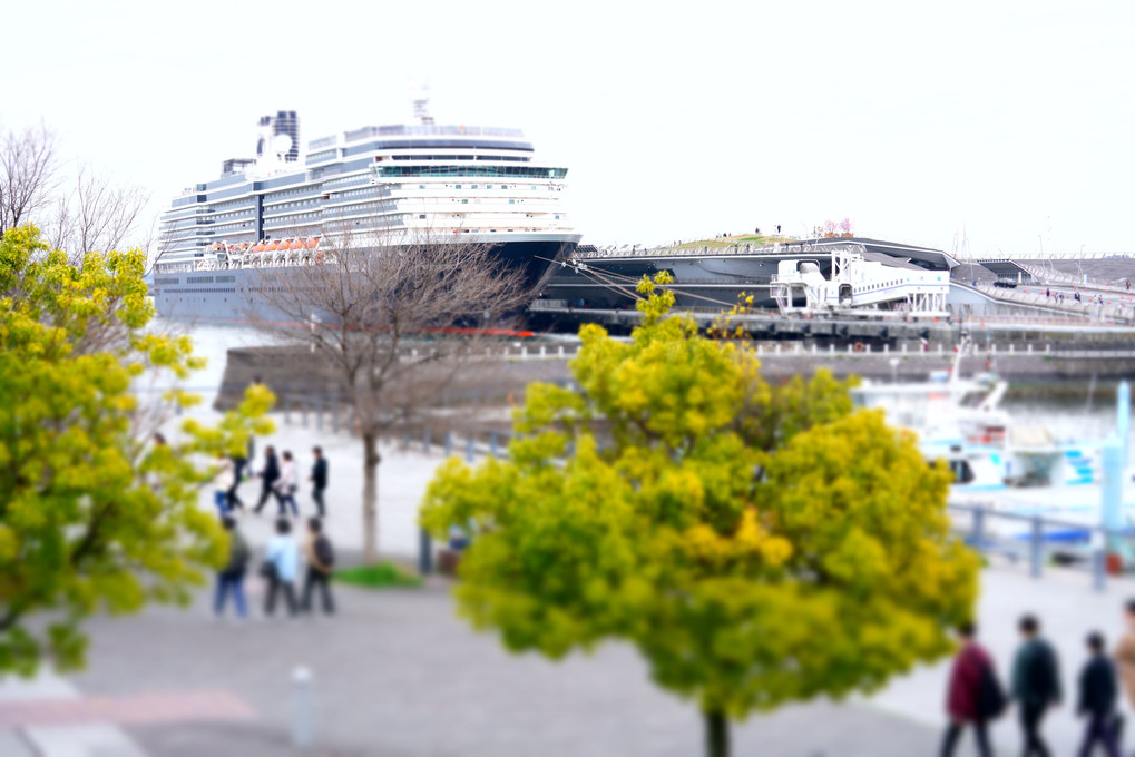大型客船が停泊する港風景