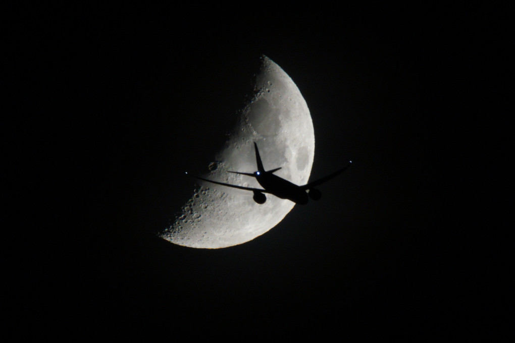 Moon Flight