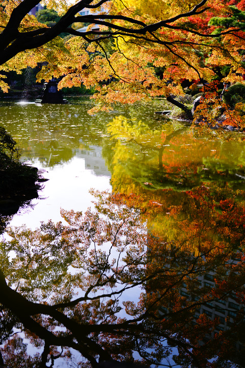 日比谷公園の小京都