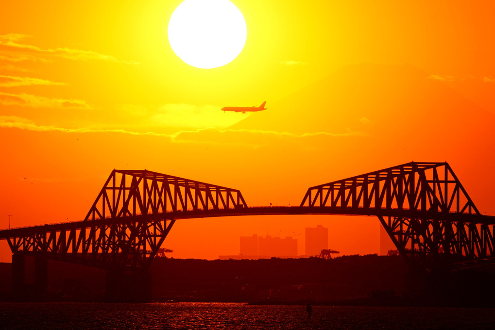 海鳥と旅客機