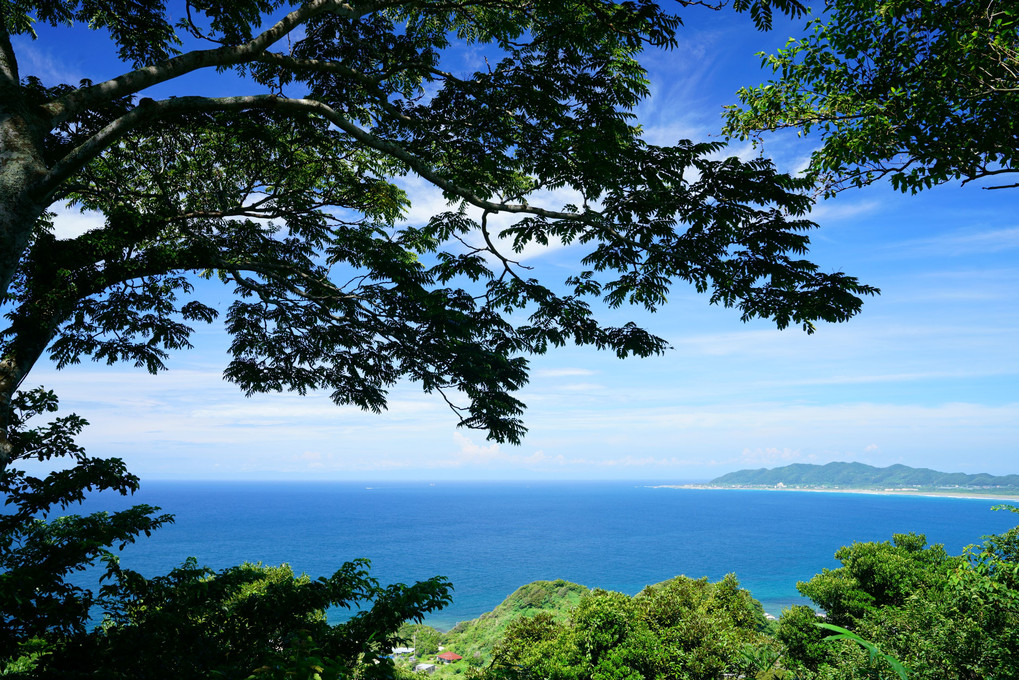 夏の海に秋の空