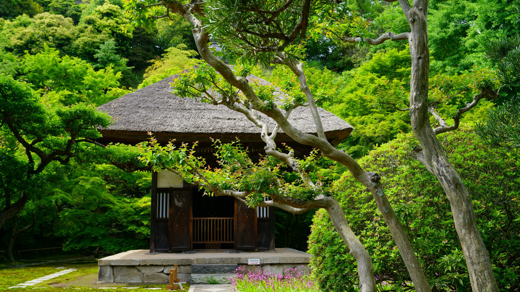 鎌倉 長寿禅寺