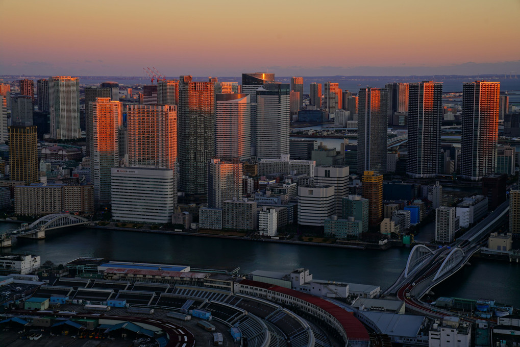 東京ベイエリア