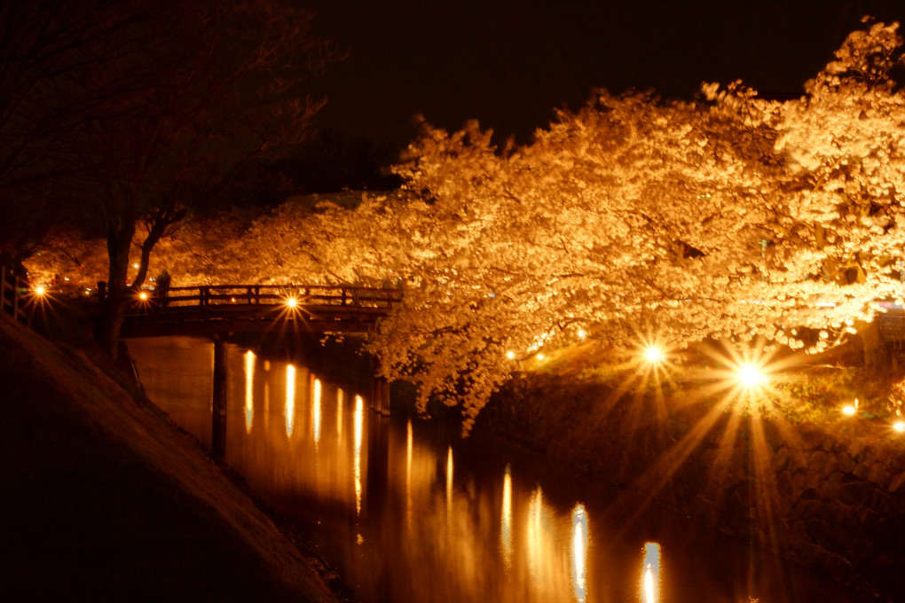 松本城光の回廊