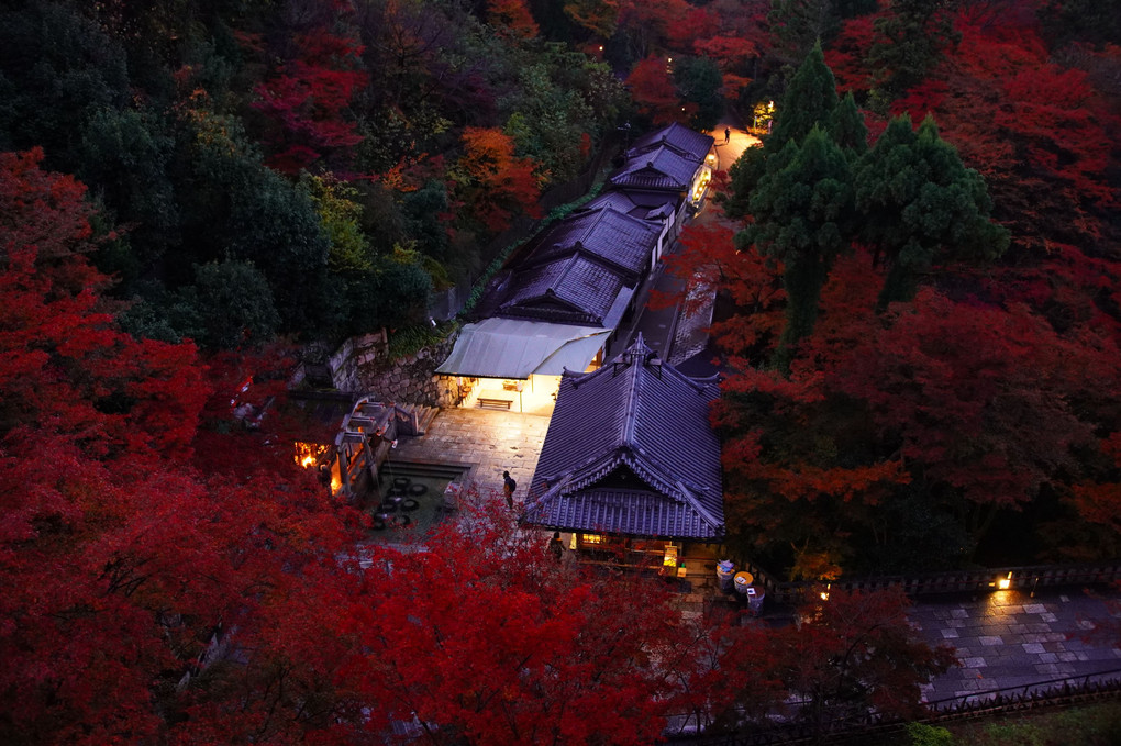 紅と緑に囲まれ