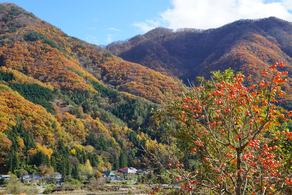 山里の秋