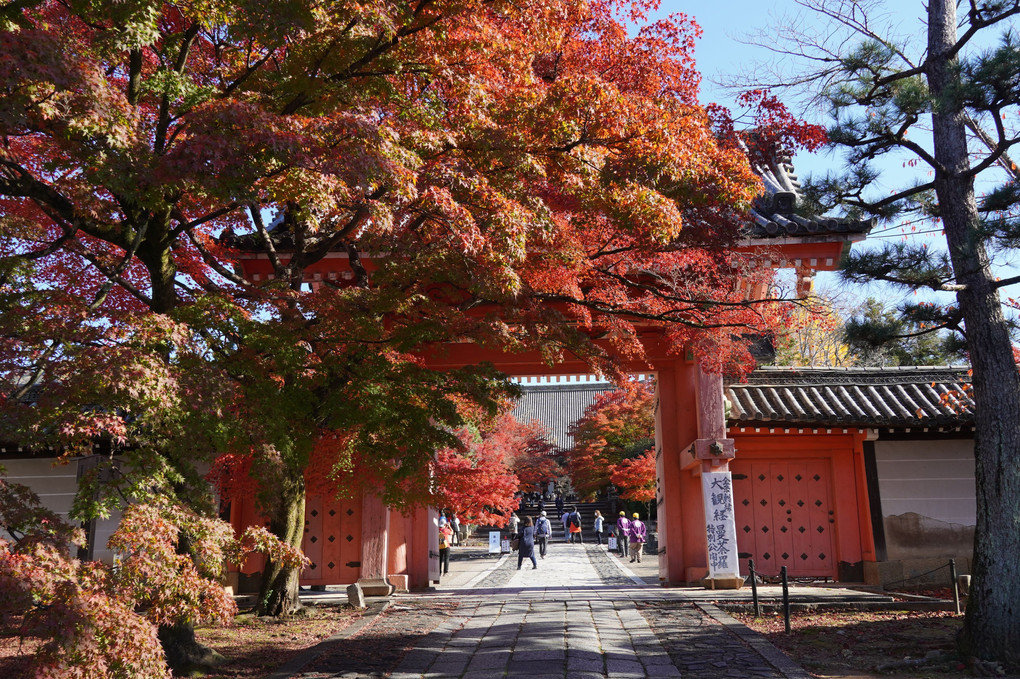 紅葉狩り　ハシゴ②