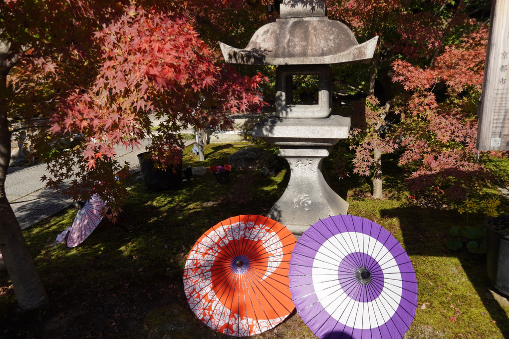 東福寺塔頭　勝林寺