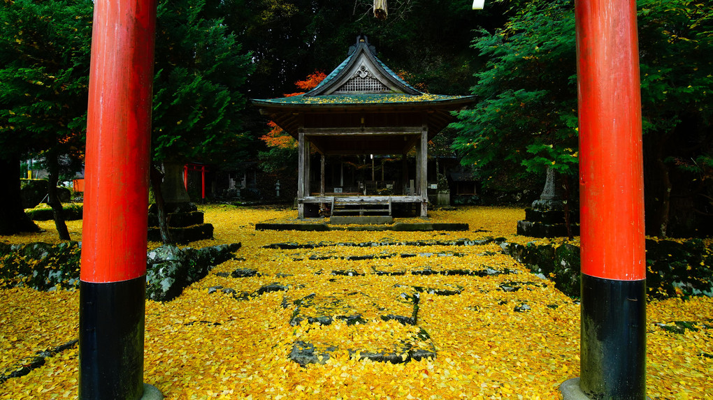落葉　岩戸神社