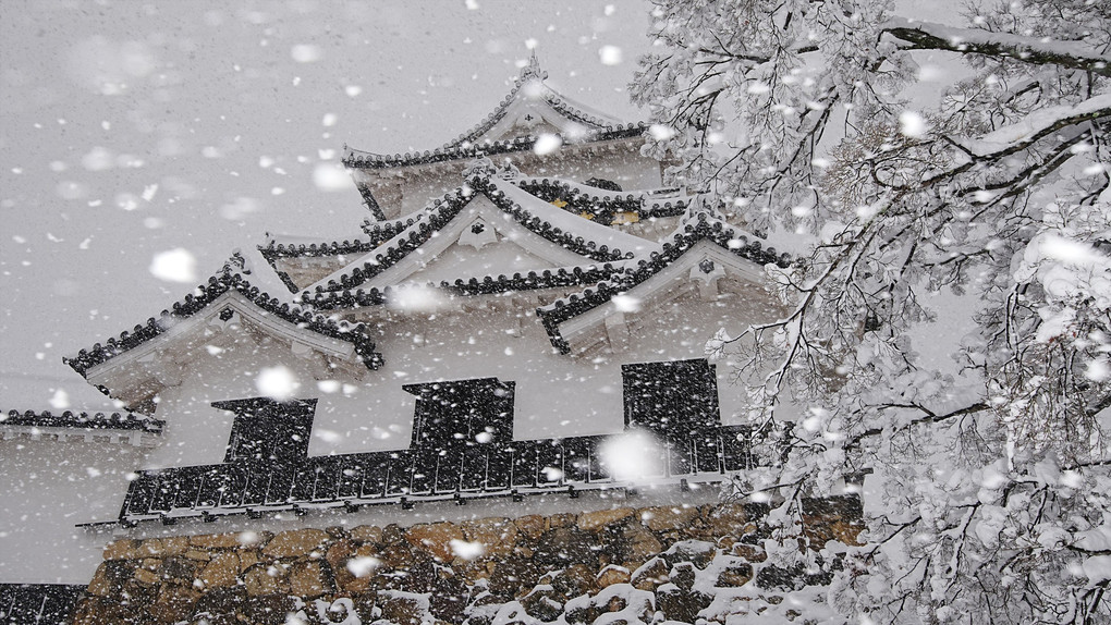 彦根城　天守　雪景色