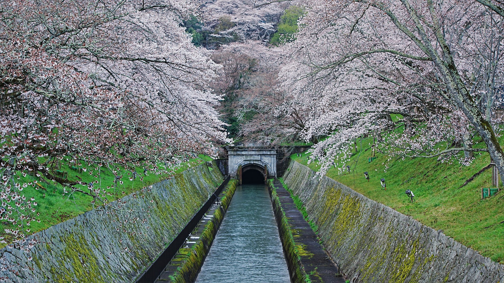 琵琶湖疎水　第一トンネル東口