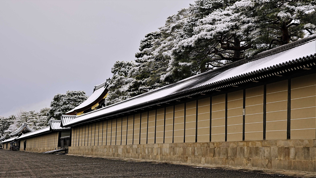 雪の京都御苑