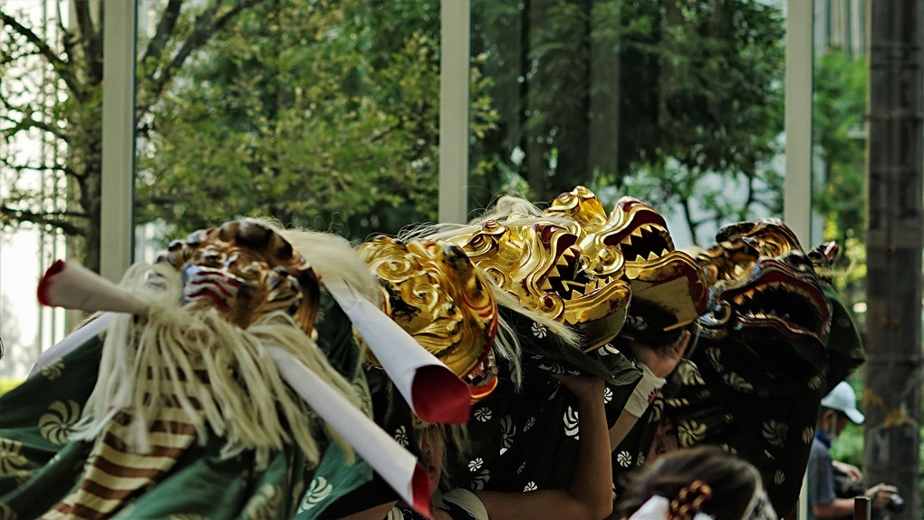 大阪天神祭りを祝う５頭の獅子