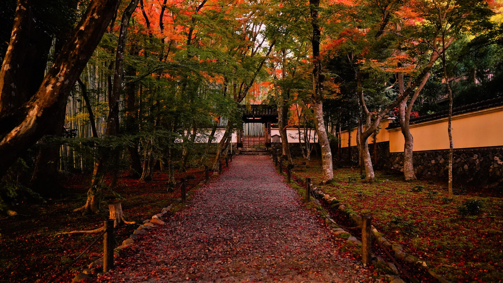 洛西の古刹　二景