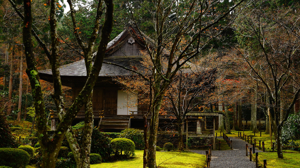 秋　再びの三千院