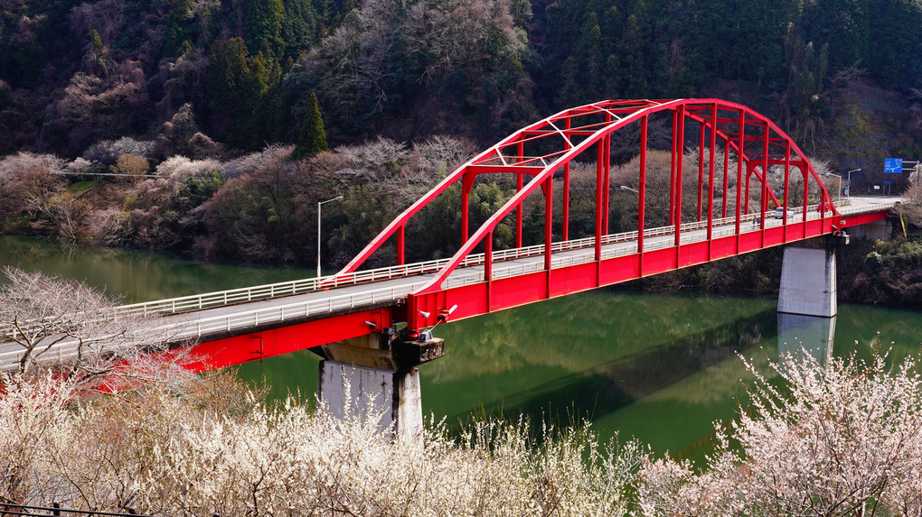 梅の里の赤い橋