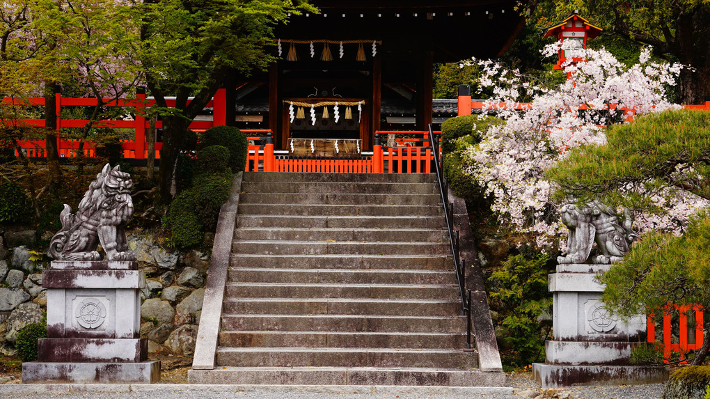 上京区船岡山　健君神社（たけいさおじんじゃ）