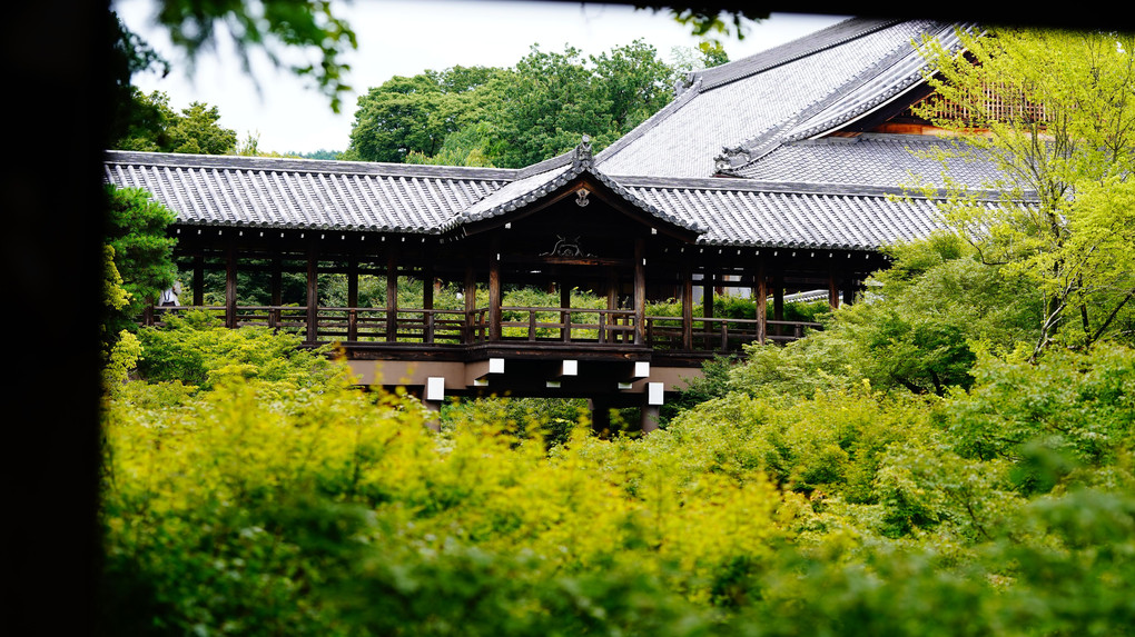 深緑　東福寺