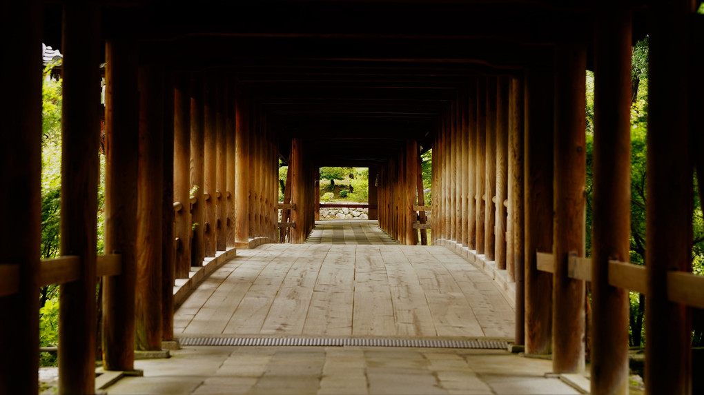 深緑　東福寺