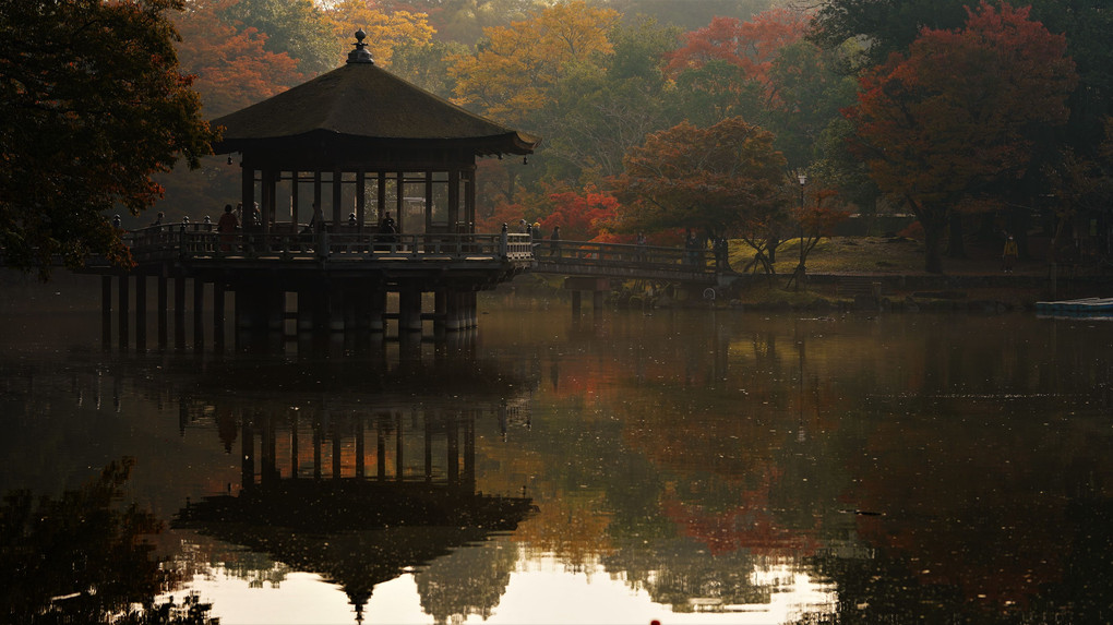 秋　奈良公園