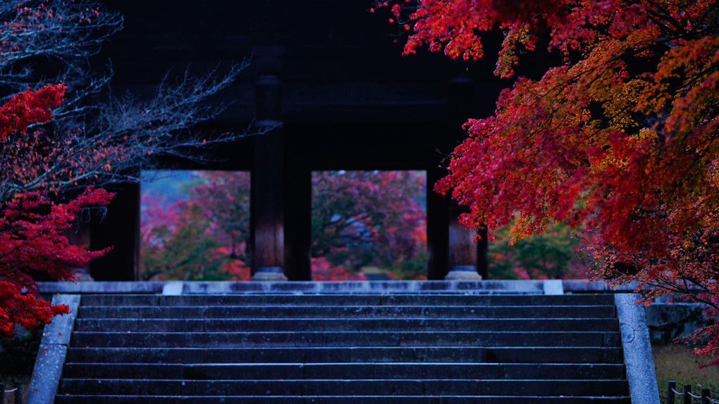 錦秋　南禅寺