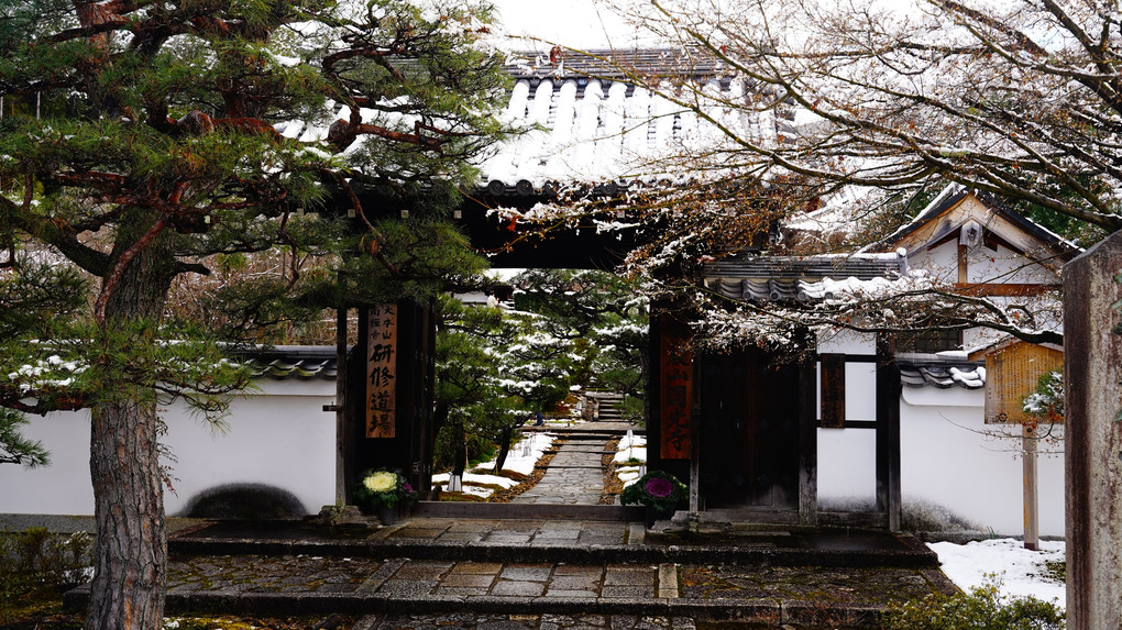 京の雪７　洛北　圓光寺