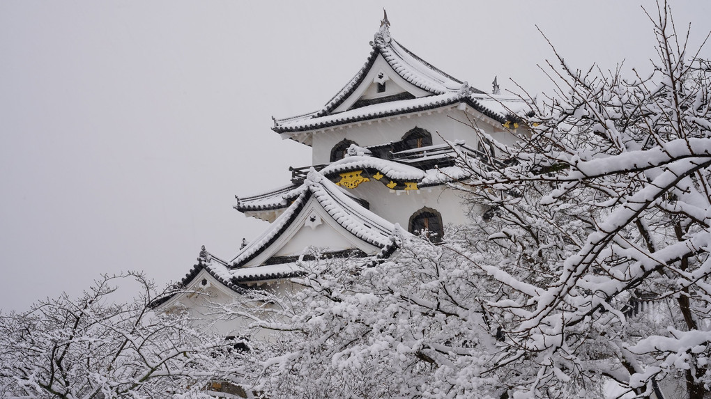 雪の彦根城２　天守閣