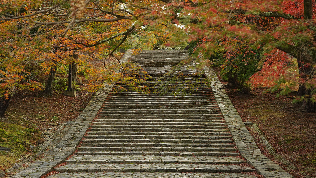 奈良公園の石段