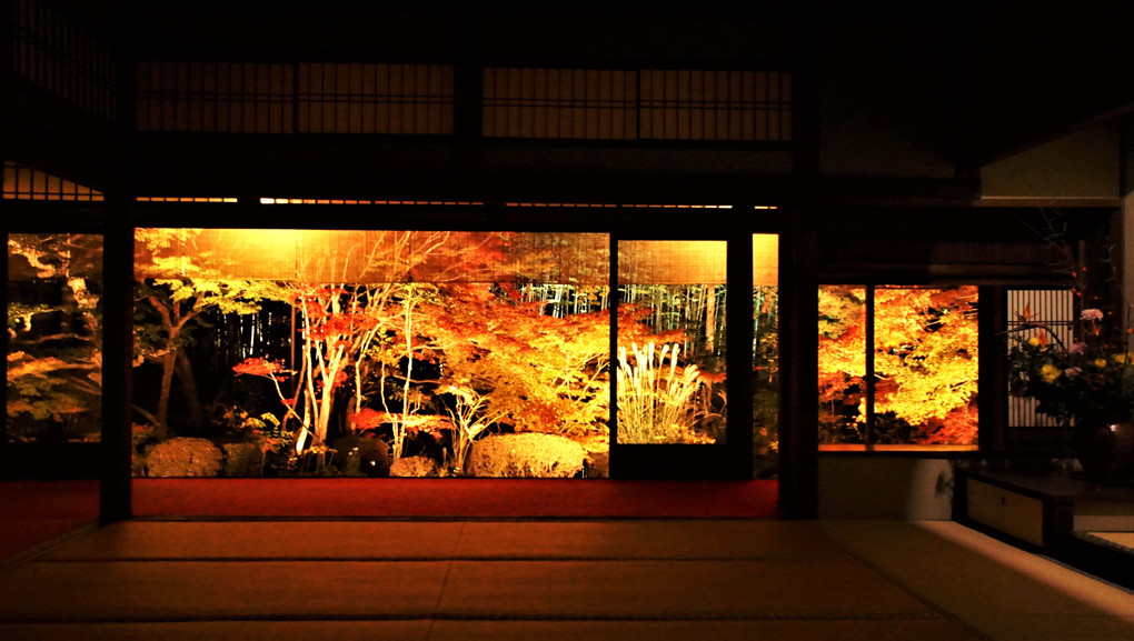 南禅寺　天授庵　夜景　２０１７