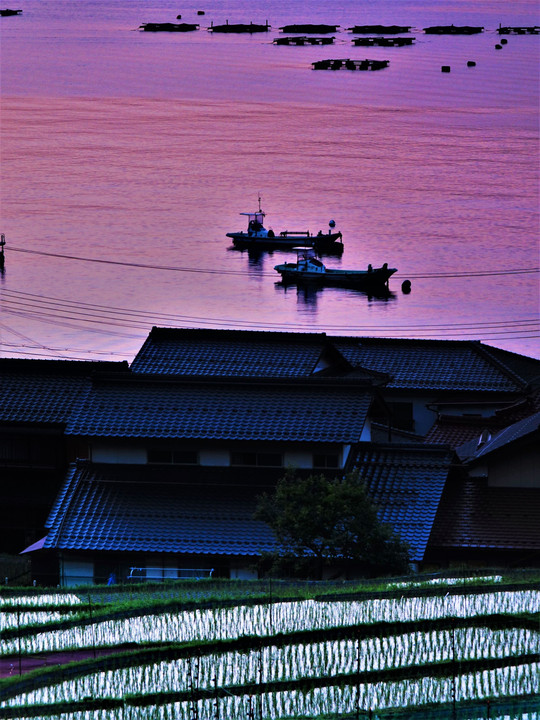 日本海　日引の棚田の夜明け