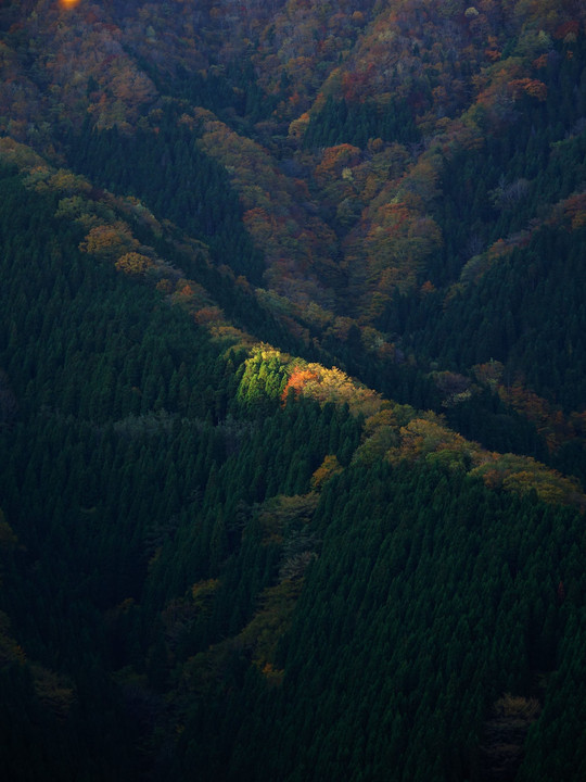 奈良県　行者還林道からのナメゴ谷。