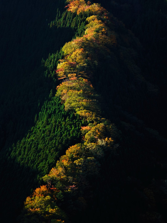 奈良県　行者還林道からのナメゴ谷。