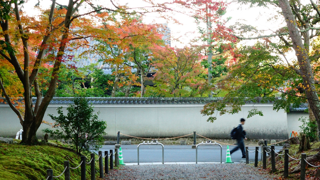 南禅寺　色づきもみじ