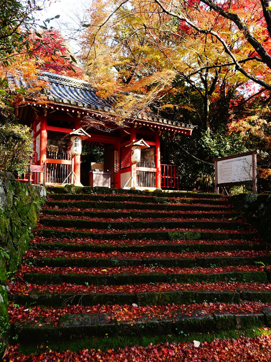 洛西の古刹　大原野の金蔵寺