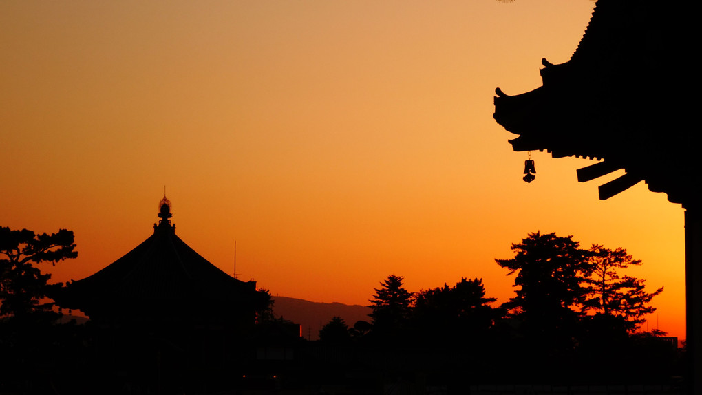 奈良　興福寺　暮景