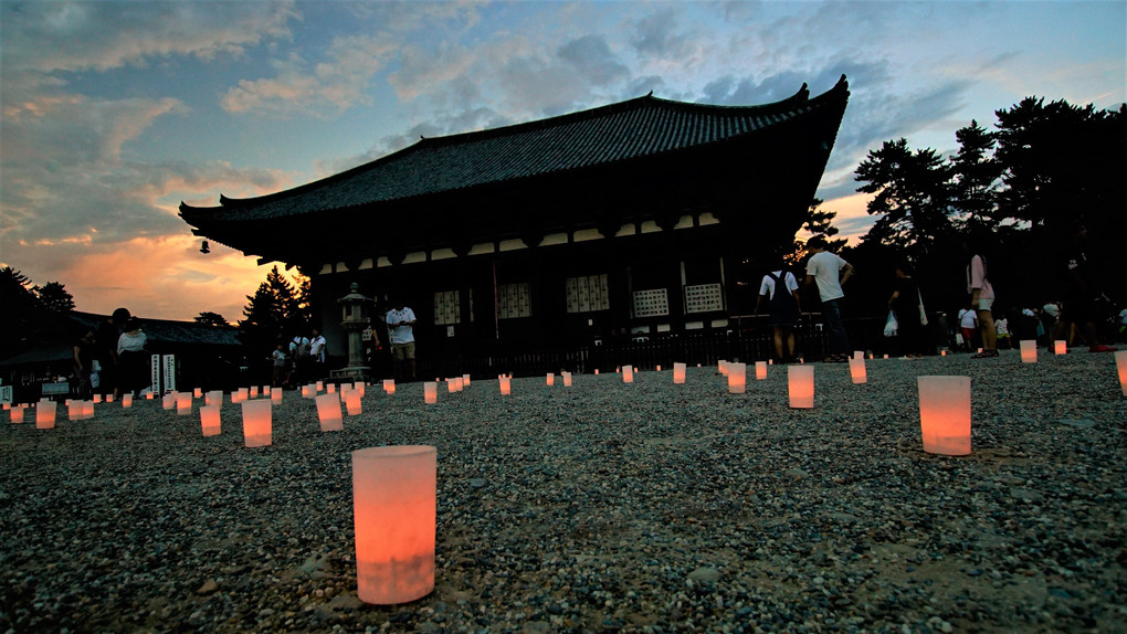奈良燈花会　興福寺にて。