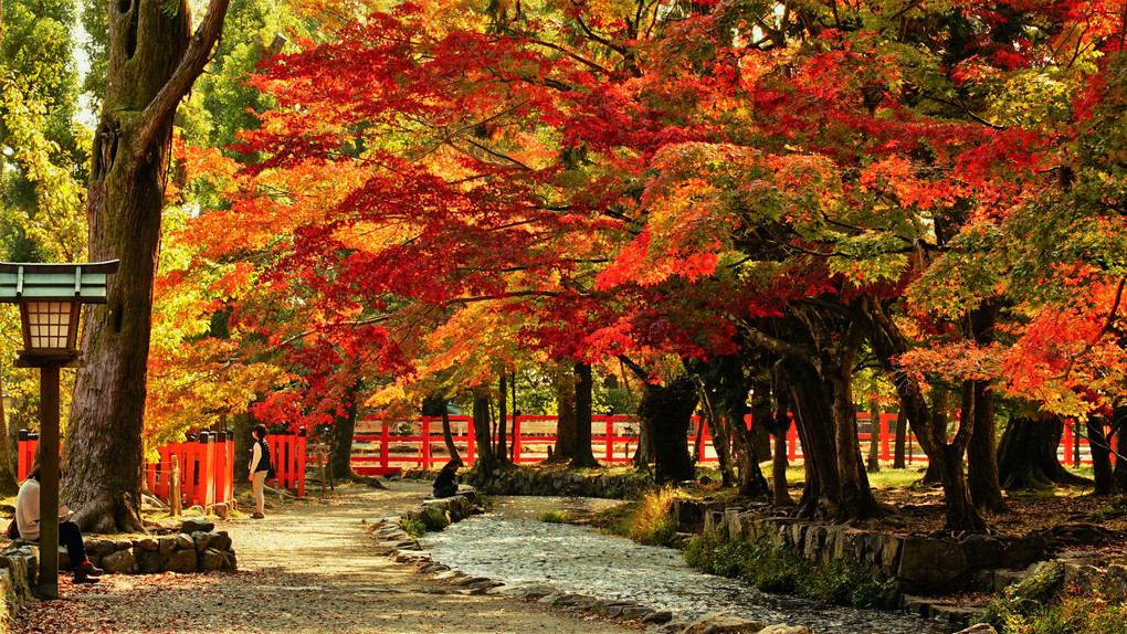 上賀茂社、境内と社家町の秋風景。