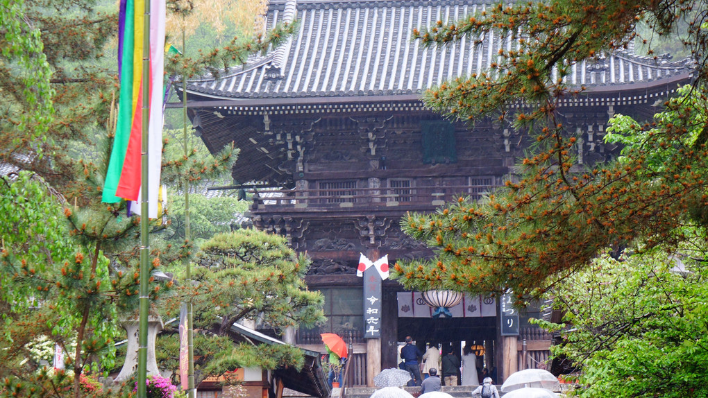 雨中　長谷寺