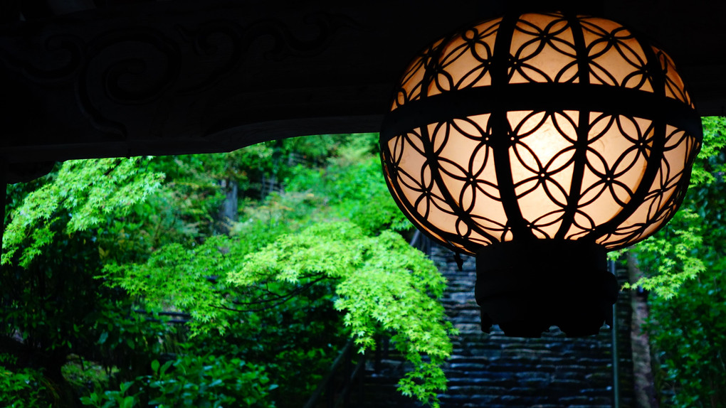 雨中　長谷寺