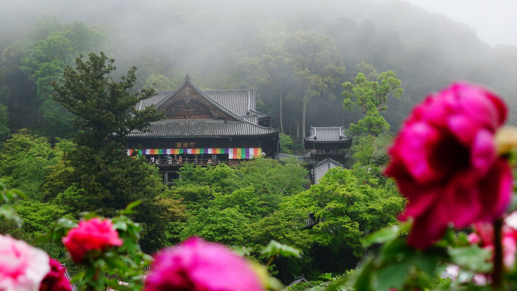 雨中　長谷寺