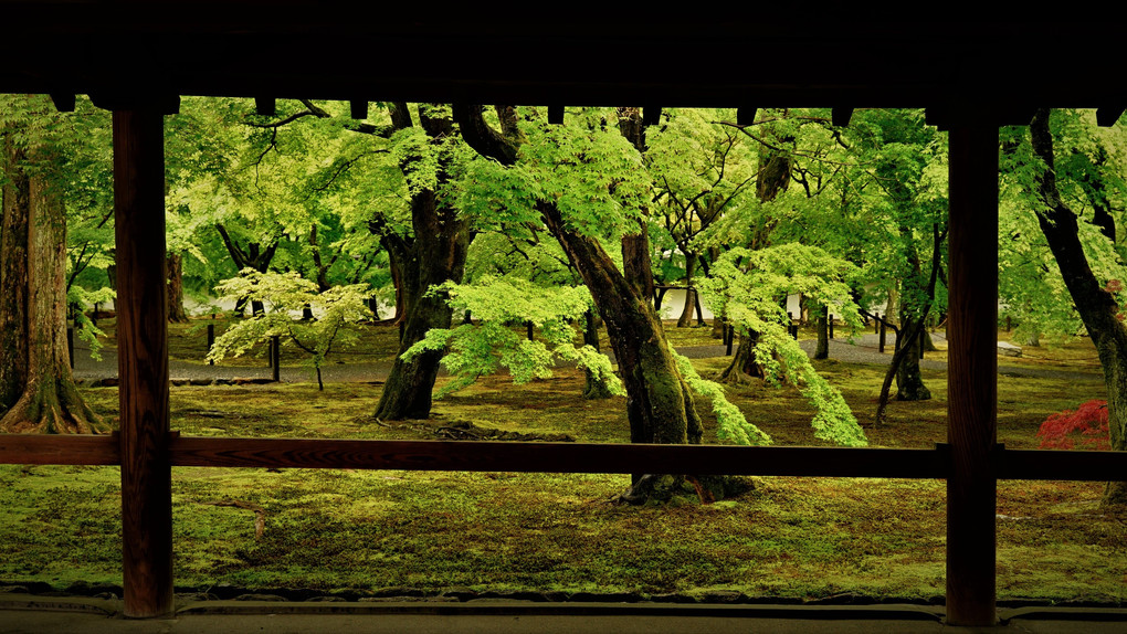 東福寺　回廊