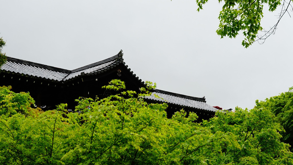 東福寺　回廊