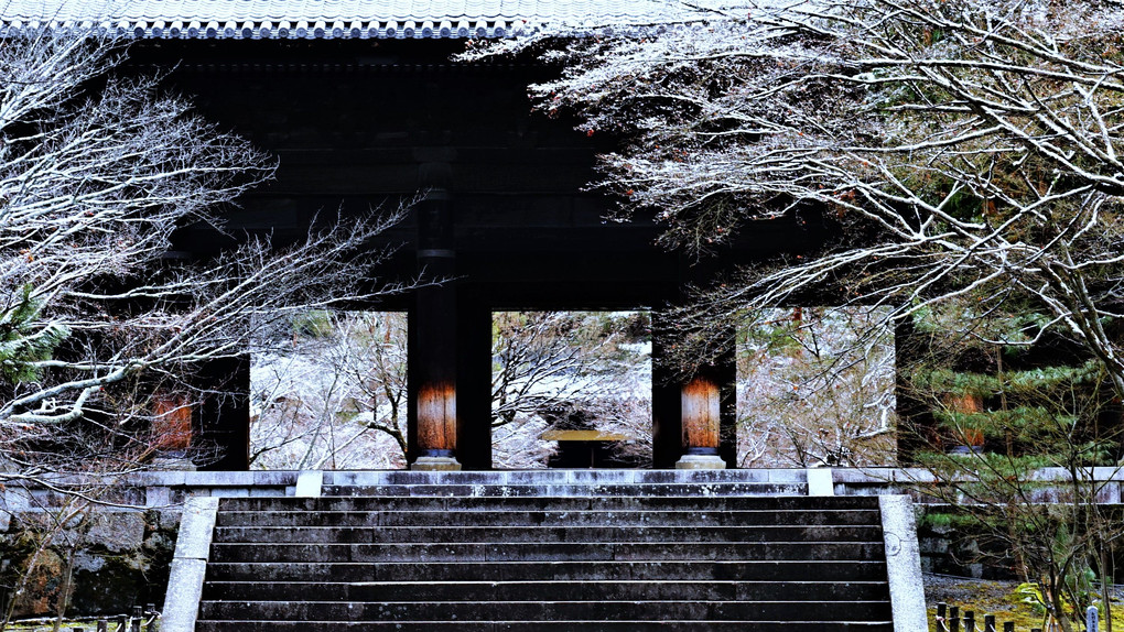 枝白く冬の南禅寺