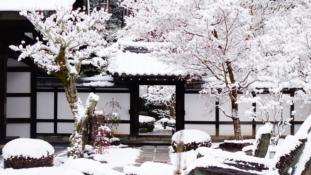 京の雪　１０　圓光寺　其の二