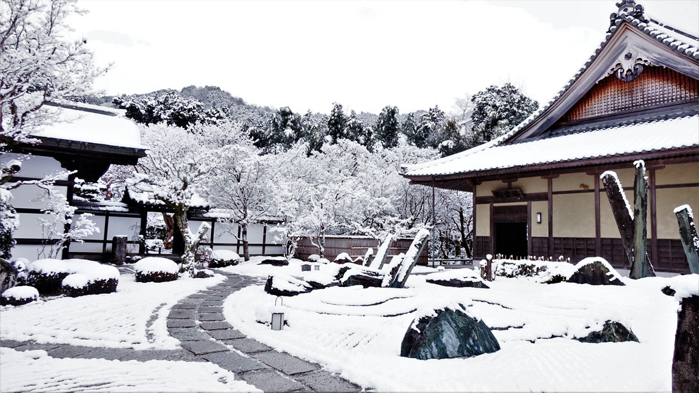 京の雪　１０　圓光寺　其の二