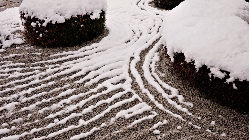 京の雪　１０　圓光寺　其の二