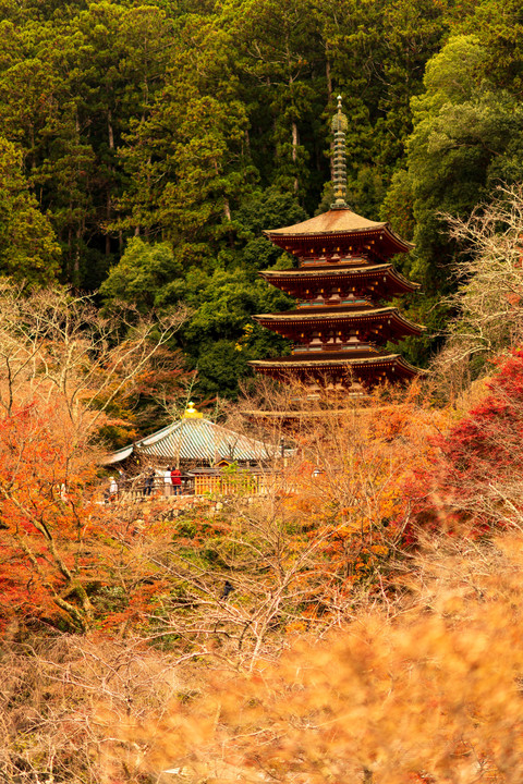 奈良の紅葉 ～ 長谷寺より
